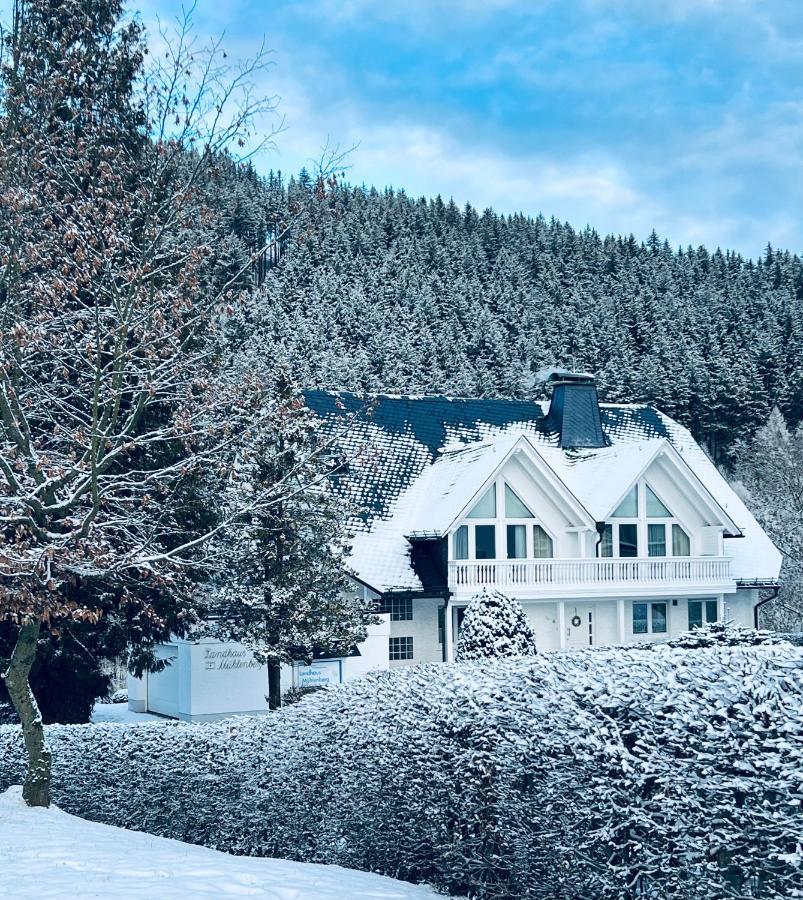 Landhaus Muehlenberg Willingen  Exterior photo